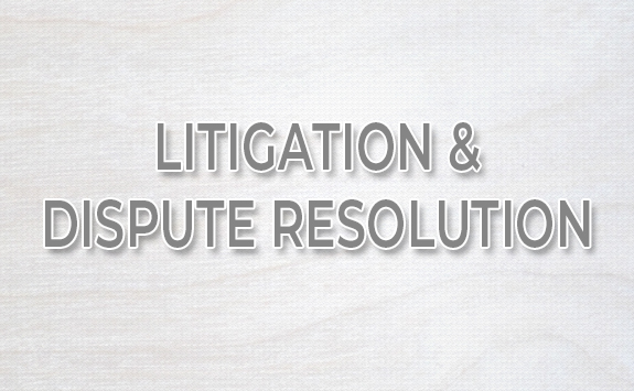 Litigation